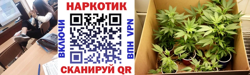 Магазин наркотиков Касли COCAIN Меф A-PVP Псилоцибиновые грибы Каннабис