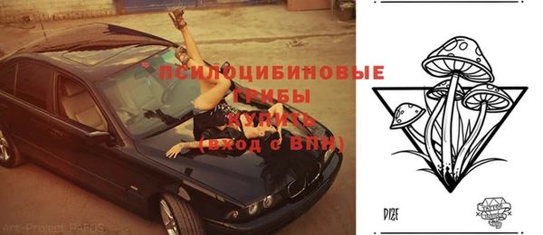 a pvp Сафоново