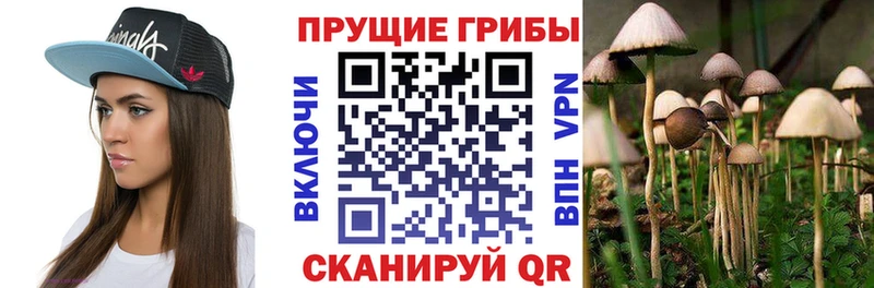 где купить наркотик  сайты даркнета официальный сайт  Псилоцибиновые грибы MAGIC MUSHROOMS  Касли 